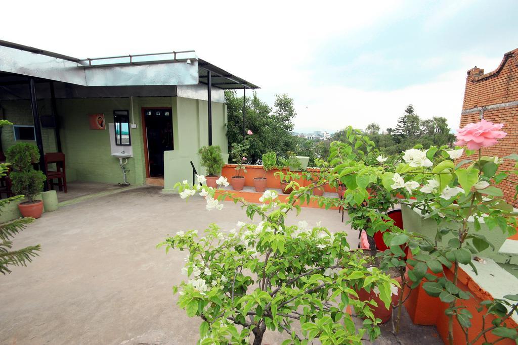 Hotel Backpackers Inn Káthmándú Exteriér fotografie